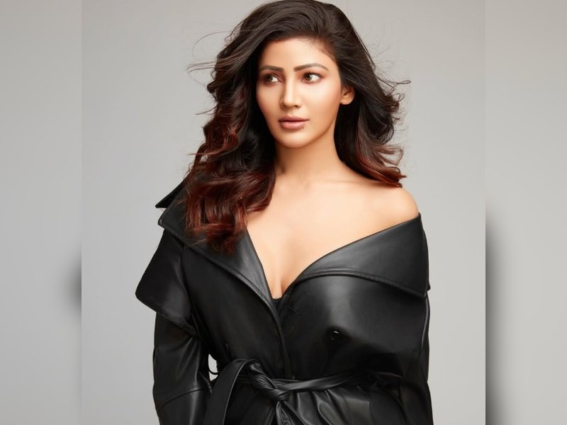 'बिग बॉस' फेम सोनिया बंसल का श्रेया कालरा को समर्थन, बोलीं- 'हर कहानी के कई पहलू होते हैं'