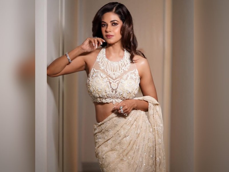 Priyanka Chopra's cousin Meera Chopra slams CJP protester for using abusive language against PM Modi