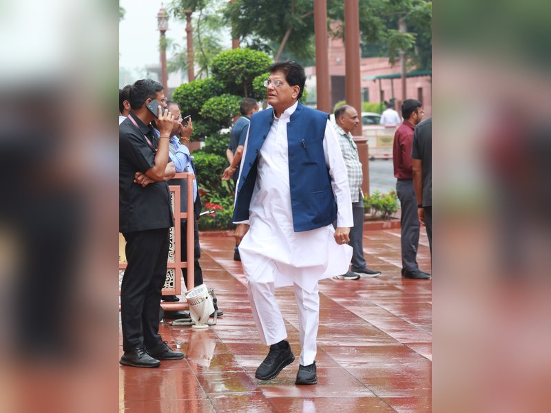 Piyush Goyal announces task force to support toy sector