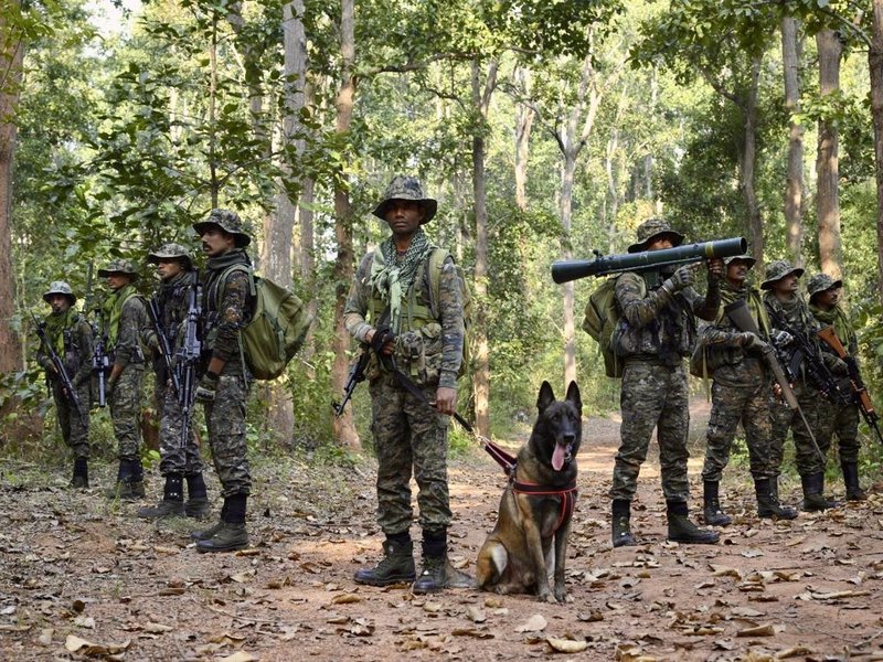 ‘Nation salutes its brave personnel’: VP Radhakrishnan, HM Amit Shah extend wishes on CRPF Raising Day