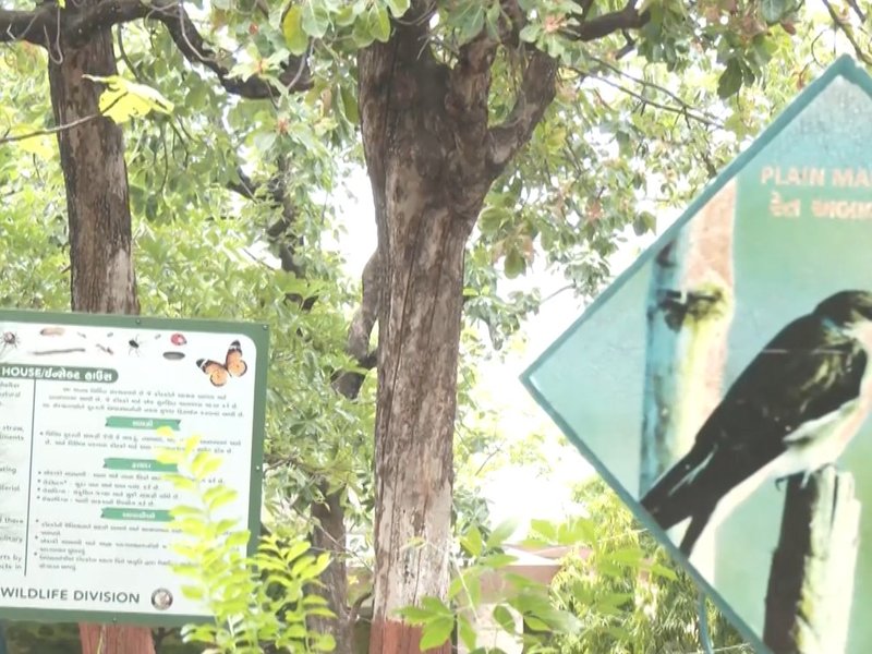 सैलानियों के बीच आकर्षण का केंद्र बना पंचमहल जिले का धनपुरी इको टूरिज्म सेंटर