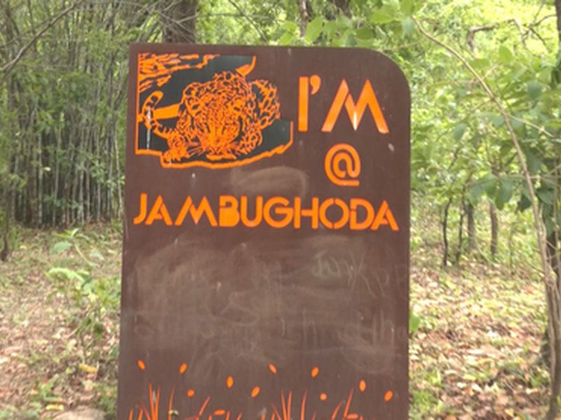 Gujarat: Dhanpuri eco-tourism centre in Panchmahal emerges as tourist hotspot