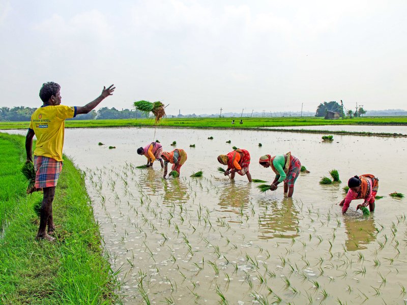 India's monsoon improves, eases risks for Kharif crop: Report
