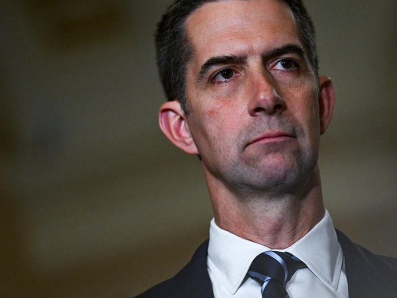 US senator warns against Chinese AI models