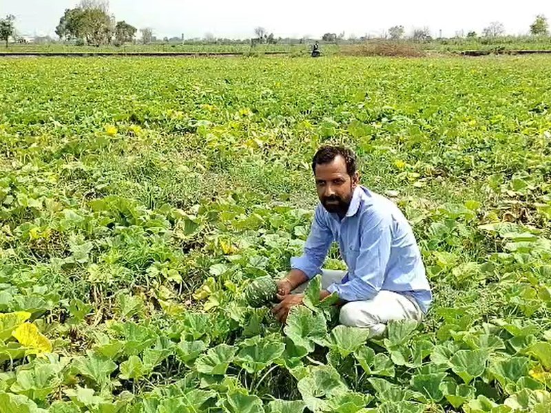 पीएम किसान सम्मान निधि योजना 2030-31 तक जारी, हरियाणा के किसानों ने फैसले का किया स्वागत