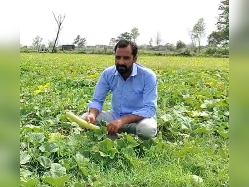 'Govt working towards our welfare': Farmers on Cabinet's decision to continue PM-KISAN scheme