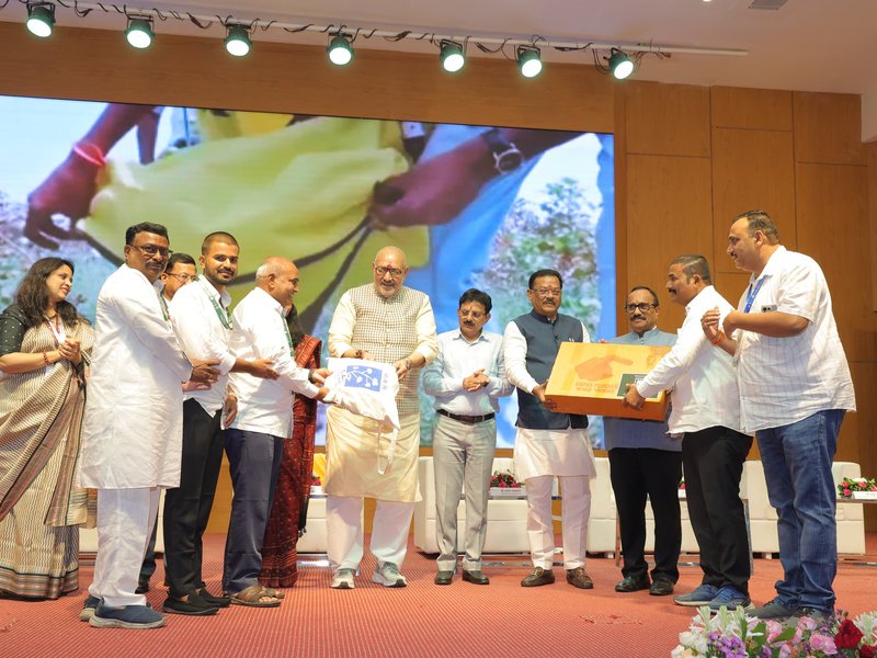 Cotton is the cornerstone of India's rural economy, agricultural prosperity