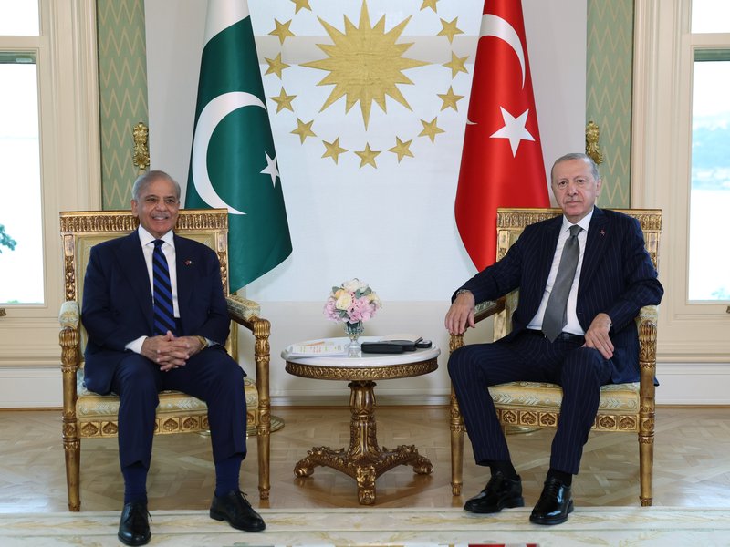 Qatar, Turkey and Pakistan threaten safety of all freedom-loving nations and individuals: Report (File Image)