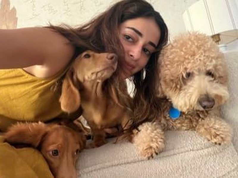 Ananya Panday spends Friendship Day with her fur buddies: Need somebody to lean on