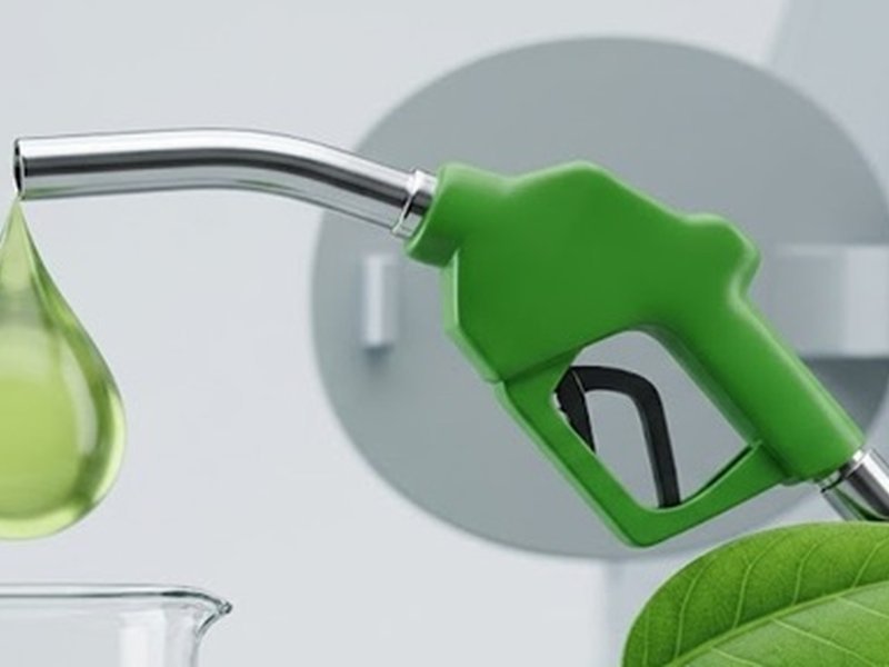 OMCs monitor fuel quality regularly, water tests conducted up to 12 times per day: Govt