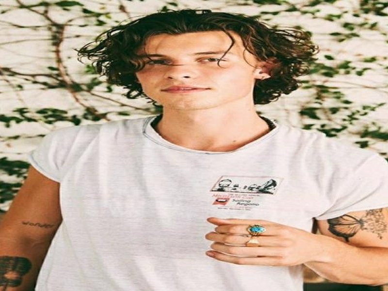 Shawn Mendes makes relationship with girlfriend public, shares pictures on her birthday