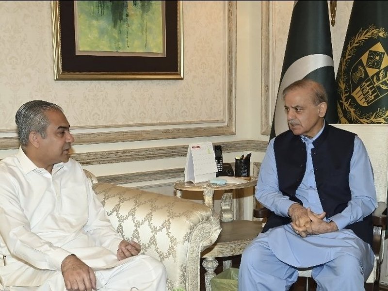 Pakistan: 'All-powerful' Interior Minister Naqvi's remarks jolt ruling coalition 