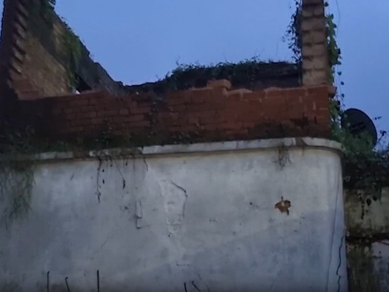 UP: Six killed, one injured after 100 year-old house collapses in Pratapgarh amid heavy rainfall