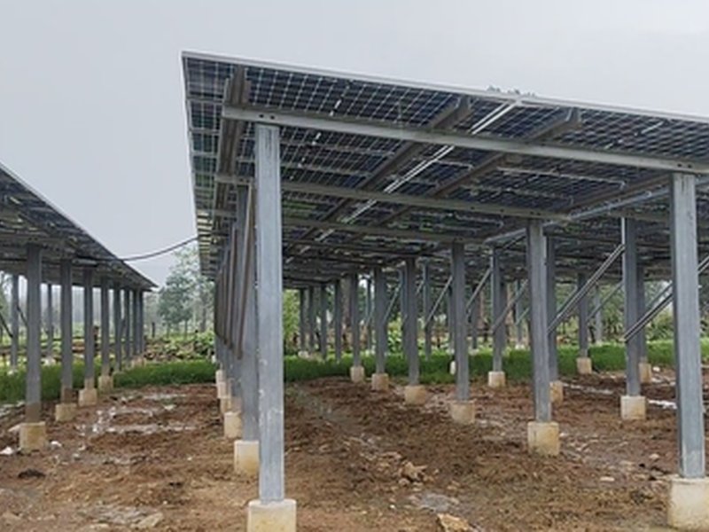 Thenhi becomes first solar village in Chhattisgarh’s Dhamtari, residents rejoice over benefits