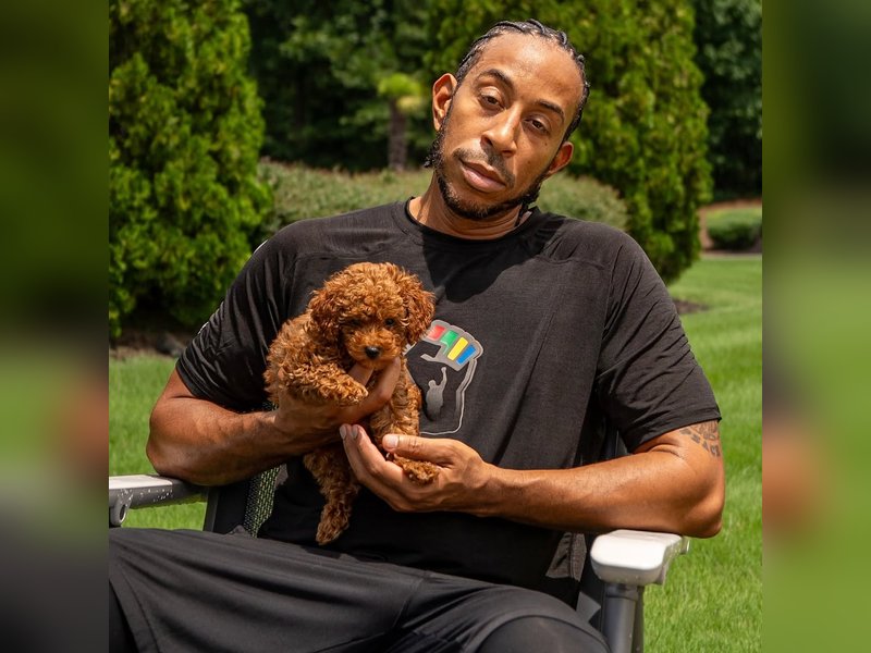 Ludacris gets dog-sitting duty after daughters ask for a new pet