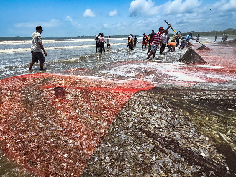 Fisheries conclave to help improve market access, returns for fishermen: Govt