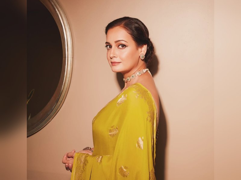 Dia Mirza urges government to protect elephant corridors, calls for their right of passage