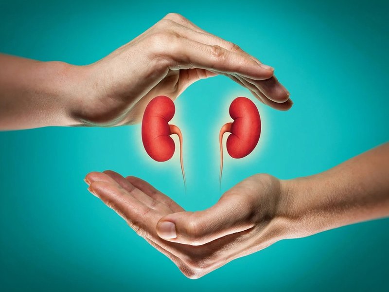 विश्व अंगदान दिवस: सांसें थमने के बाद भी धड़कते हैं अंग, बचा सकती है 8 जिंदगियां