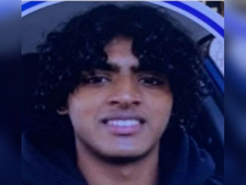 Indian-American teen murders mother, brother in US home; searched ideas about killing family