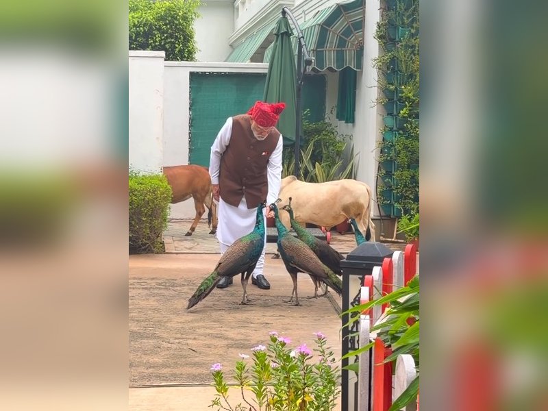 Special, as always: PM Modi shares heartwarming daily routine with 'friends'