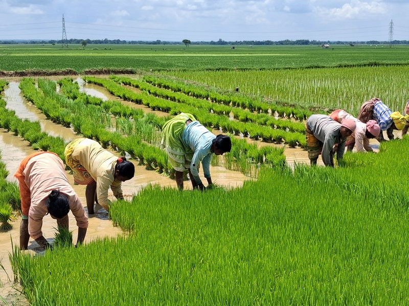 Celebrating women farmers' contribution beyond cinematic representation