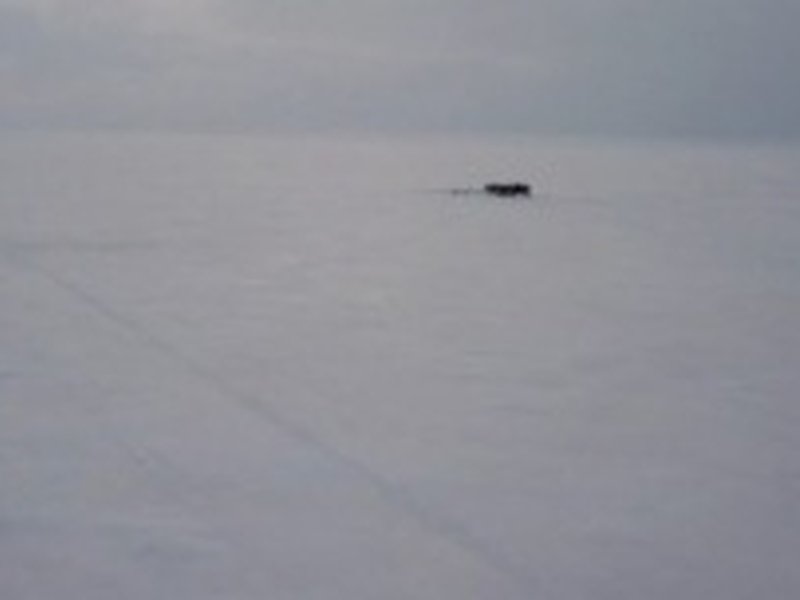 China Ice Silk Route and India's Challenge