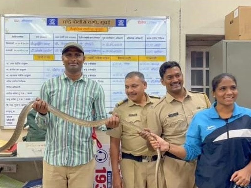 शाहरुख खान के 'मन्नत' में घुसा 8 फीट लंबा सांप, वन विभाग की टीम ने किया रेस्क्यू