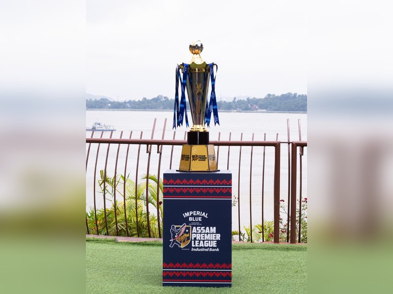 Inaugural APL champions to receive Rs 50 lakh prize money, runners-up to get Rs 25 lakh. Photo credit: APL