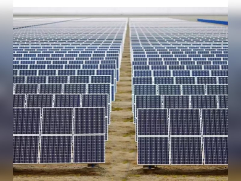 Solar expansion in China causes bird diversity decline: Report