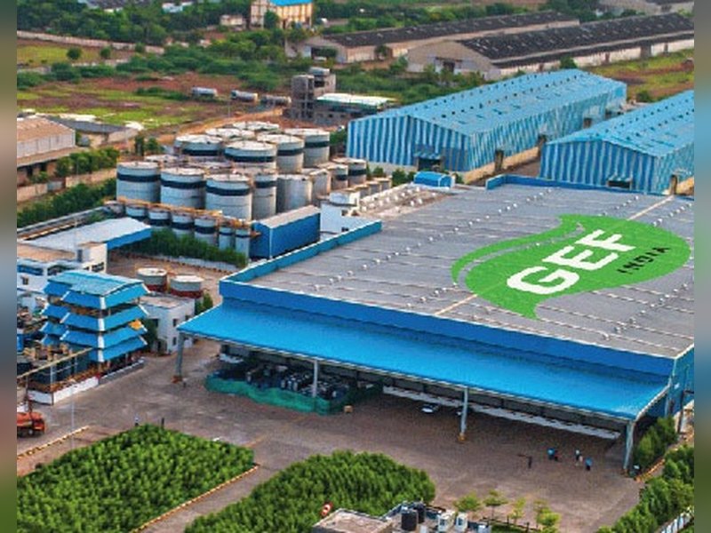 Gemini Edibles IPO: Freedom Oils maker flags raw material, regional concentration, other risks in DRHP