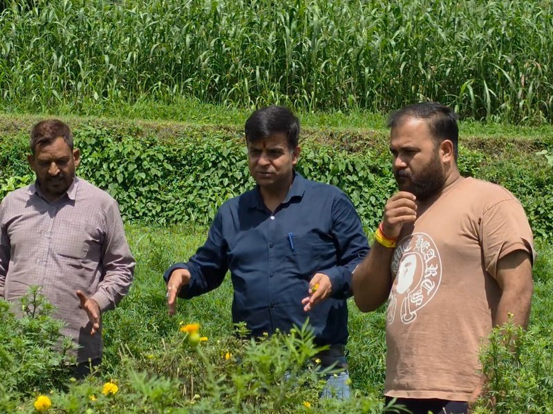 जम्‍मू-कश्‍मीर: हाइब्रिड फूलों की खेती से कटरा के किसानों की बढ़ी आय, सरकार की पहल का दिखा असर