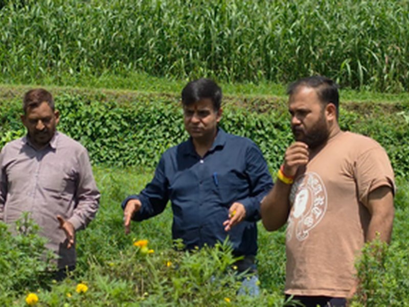 J&K: 80-year-old farmer earns income through floriculture, becomes inspiration for others