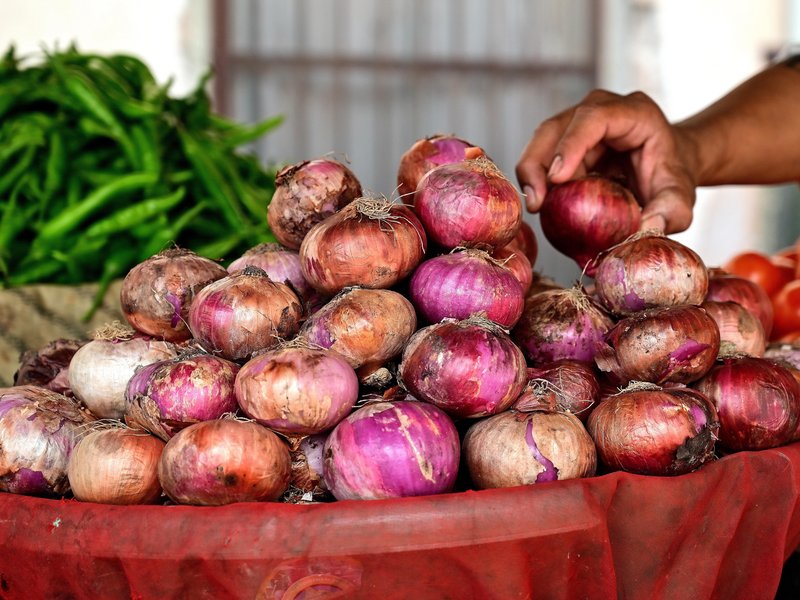 Onion prices dip as fresh crop flows into markets