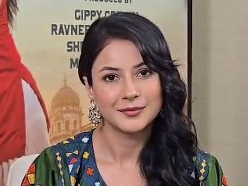 'सिंह वर्सेस कौर 2' में कैसा रहा बंगाली किरदार निभाने का अनुभव, शहनाज गिल ने कही दिल की बात