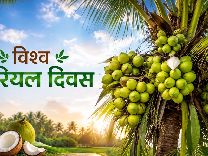  विश्व नारियल दिवस 2026: नारियल का कोई हिस्सा बेकार नहीं, लकड़ी से लेकर कोकोपीट तक, जानें हर हिस्से का उपयोग
