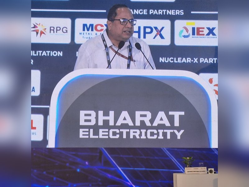 India must double electricity's share in energy mix by 2047 to meet net zero goals: CEA Chief