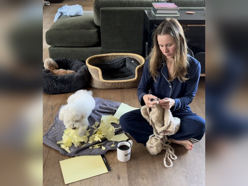 Kristen Bell hilariously suspects pet Frank has a ‘criminal past’
