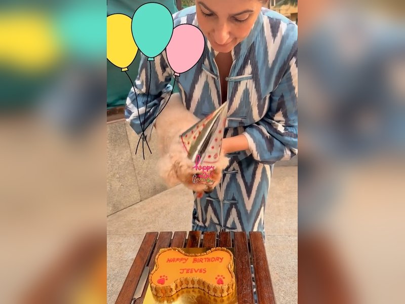 Twinkle Khanna celebrates pet dog Mr Jeeves’ birthday: ‘My pockets are empty, but my heart is full’