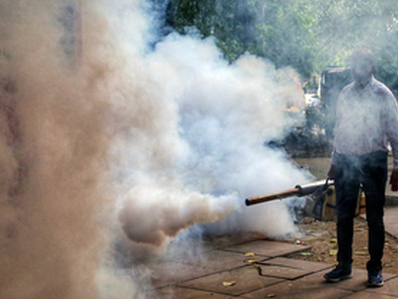29 municipalities, 278 panchayats identified as dengue hotspots in Bengal