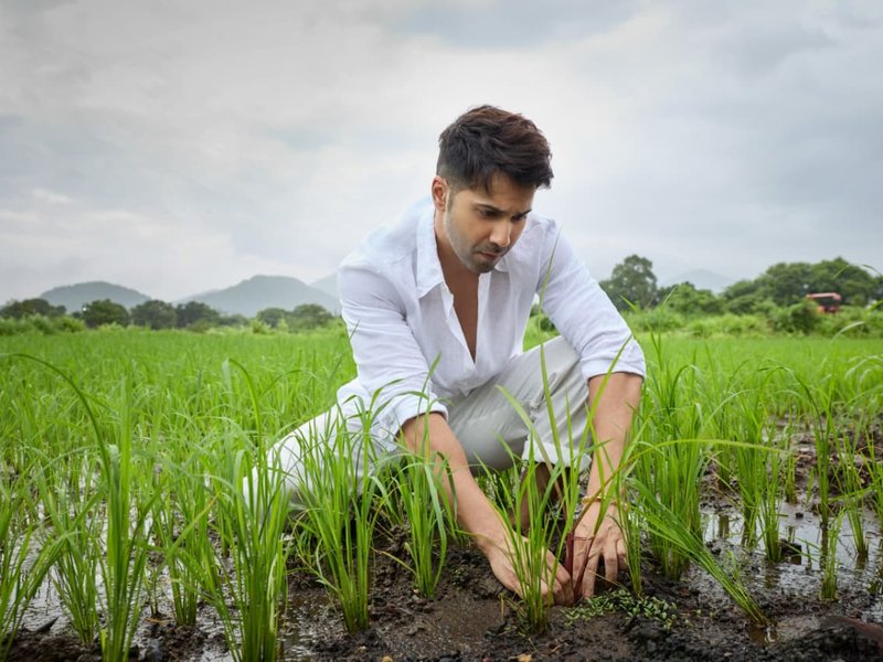 Varun Dhawan highlights declining soil nutrients amid recent plot purchase: ‘It has been giving me sleepless nights’