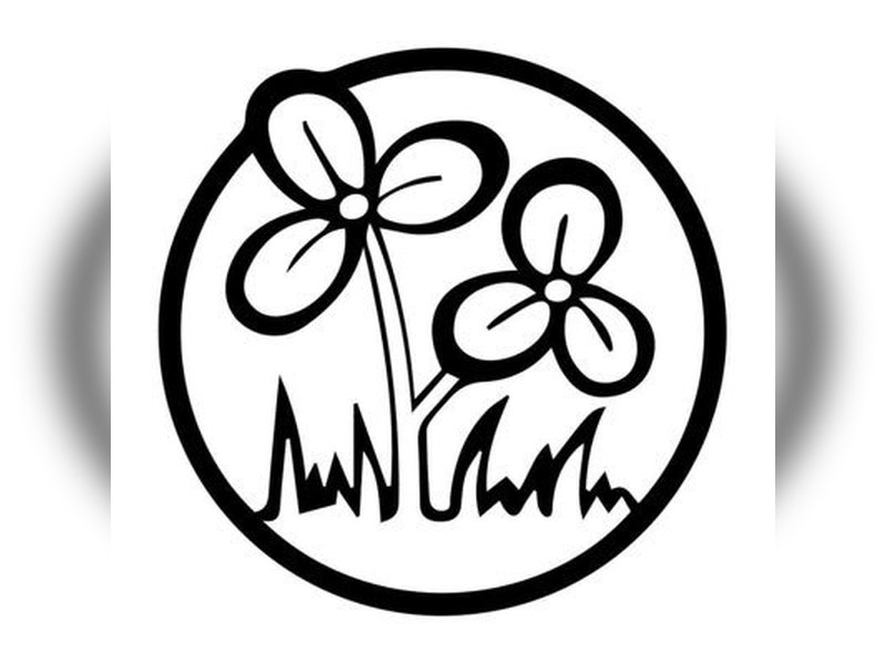 New names and symbols for Mamata and Ritabrata-led Trinamool factions likely to come out today
