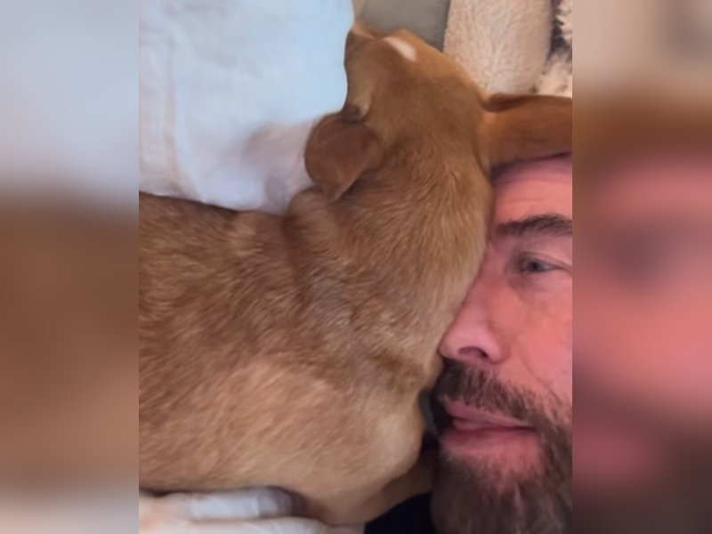 John Travolta’s dog Peanut celebrates bath time with adorable face licks 