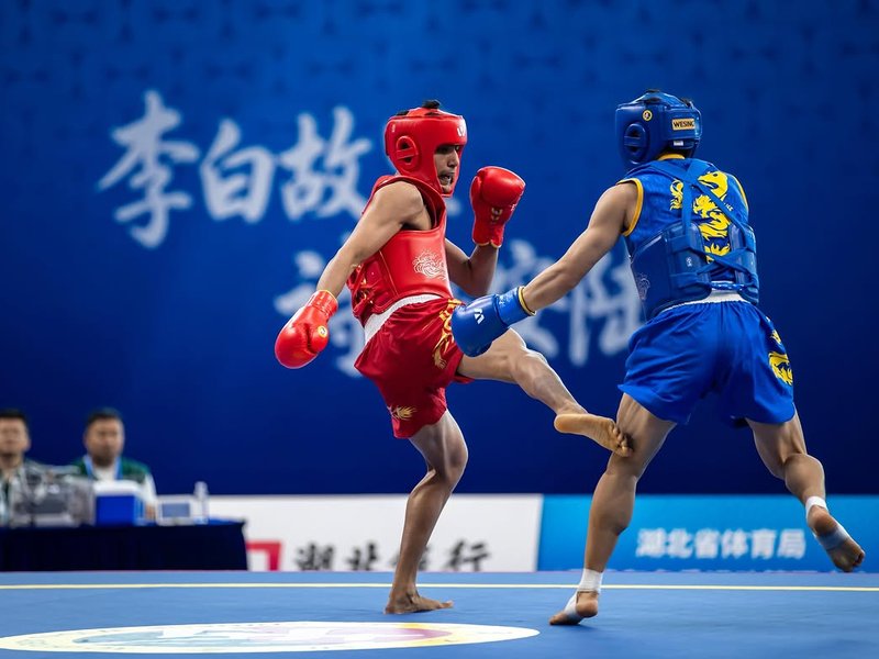 Asian Games: Aryan, Roshibina Devi march into quarterfinals after Wushu wins (Credit: Instagram/Aryan)