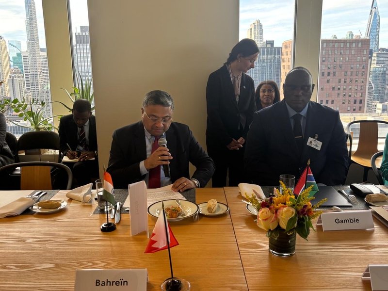 India attends France-Mexico-hosted meeting, underscores need for UNSC reforms