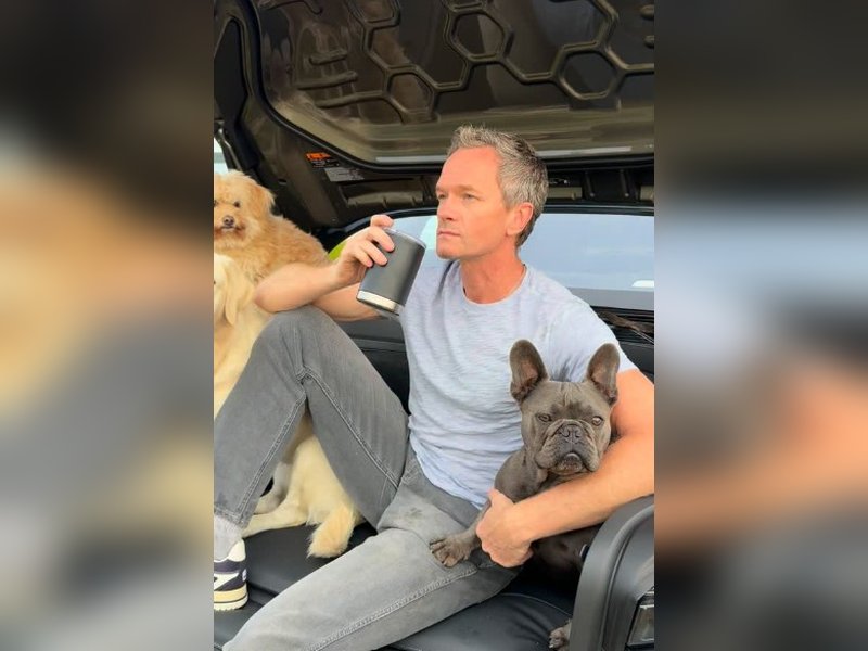 Neil Patrick Harris says ‘older me has no complaints’ as he shares life with four dogs 