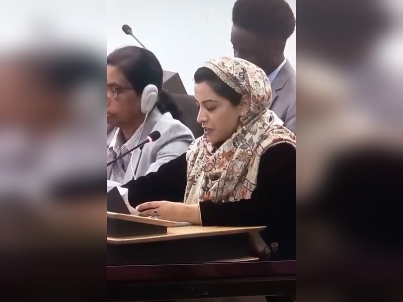 'Lack of civic space, large-scale reprisals': Kashmiri activist slams Pakistan over crackdown of protesters in PoJK at UNHRC 