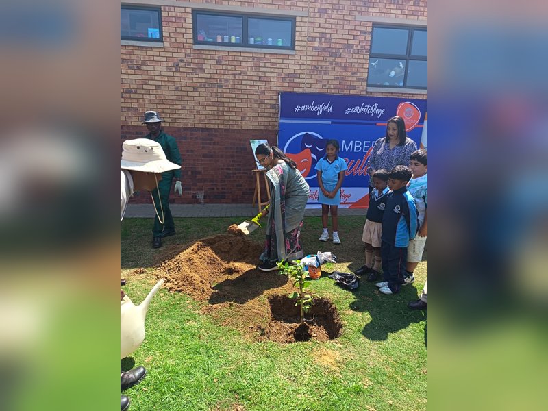 Indian mission in South Africa holds tree plantation drive under Seva Pakhwada