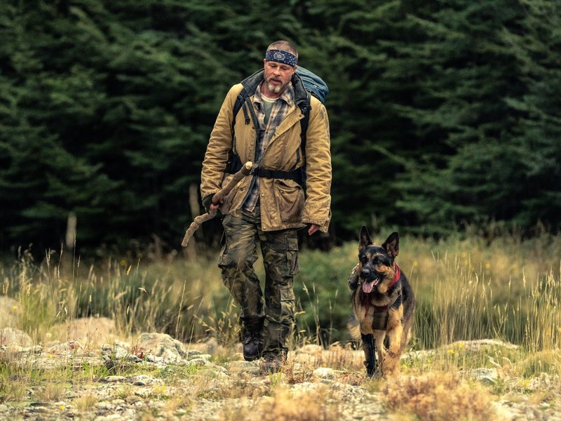 Brad Pitt heaps praise on ‘Heart of the Beast’ canine co-star Uber: He was really good