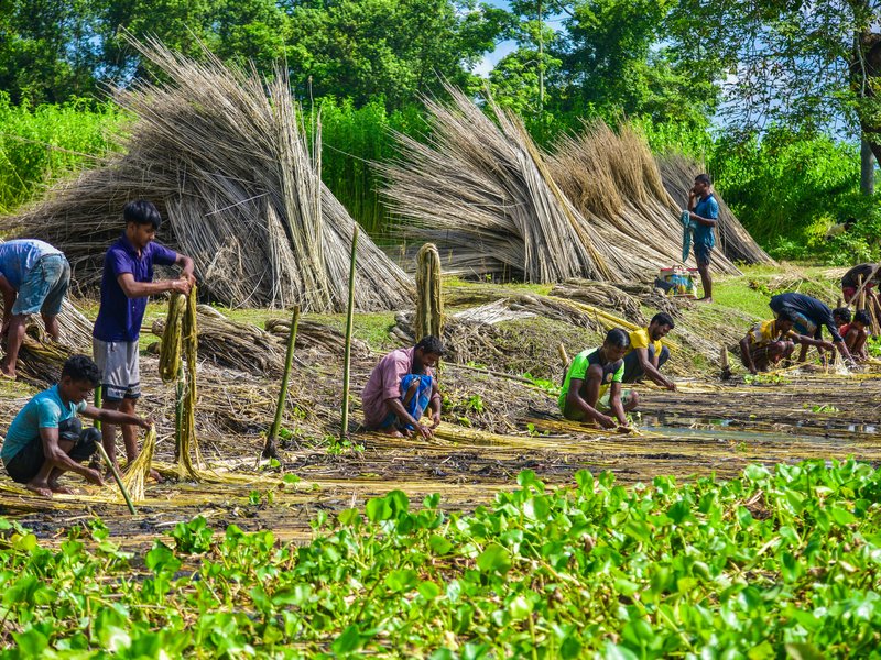 PM Dhan-Dhaanya Krishi Yojana aims to develop 100 Aspirational Agricultural Districts
