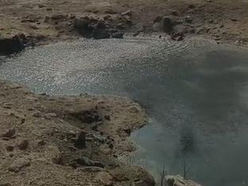 Rajkot civic body uses drones, AI to identify 4,731 potential mosquito breeding sites